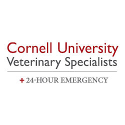 Cornell University Veterinary Specialists 