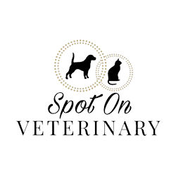 Spot On Veterinary Hospital & Hotel